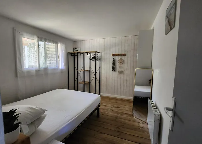 Contaut * هورتين